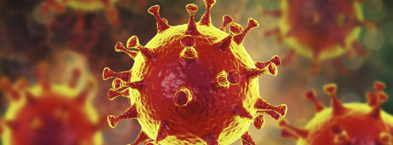 MERS virus, Meadle-East Respiratory Syndrome coronovirus