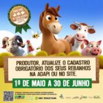 WhatsApp-Image-2025-05-08-at-09.40.14