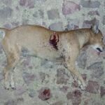 IMG-20250801-WA1020-1024x576