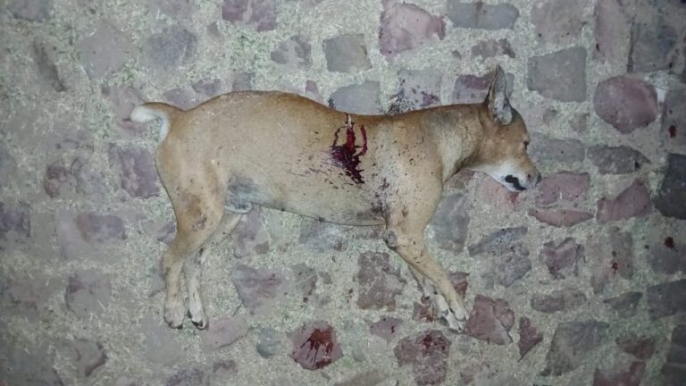 IMG-20250801-WA1020-1024x576