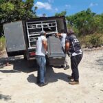 f0516907-44fc-4b61-91c3-83783ba8ac97