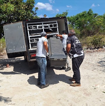 f0516907-44fc-4b61-91c3-83783ba8ac97