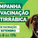 sao-joao-do-arraial-inicia-campanha-de-vacinacao-antirrabica.jpeg.1200x0_q95_crop
