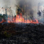 Incêndio-na-aldeia-Piaraçu-Foto-Inst-Raoni