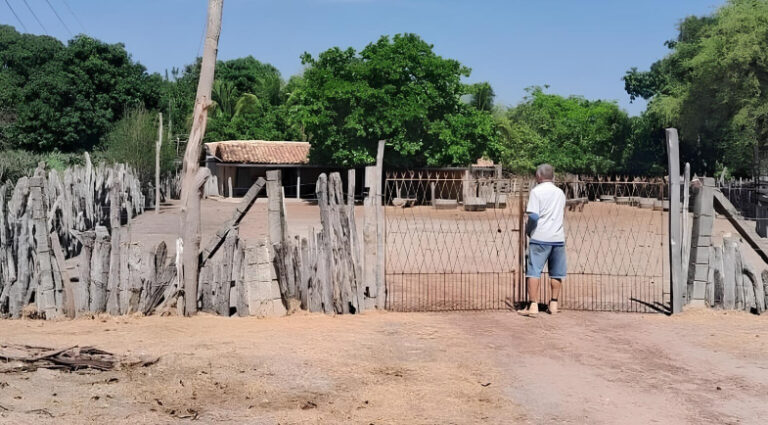 fazenda-encruzilhada--4926f33da4bb1ac7