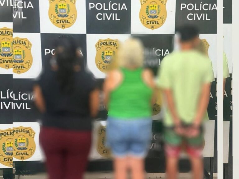 A-Policia-Civil-do-Estado-do-Piaui-por-meio-da-Delegacia-de-LuzIlandia-e-em-trabalho-conjunto-c-1024x768