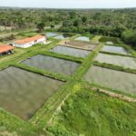 WhatsApp-Image-2026-01-09-at-14.13.25-1024x768