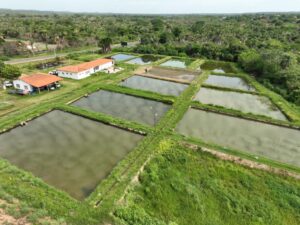 WhatsApp-Image-2026-01-09-at-14.13.25-1024x768