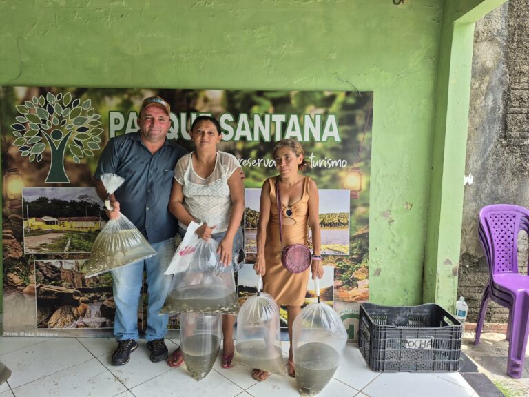 IMG-20260212-WA0281-768x576