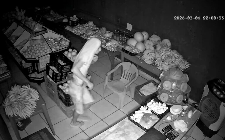 Screenshot_20260308_083205_Gallery