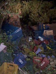 Screenshot_20260311-082241_1