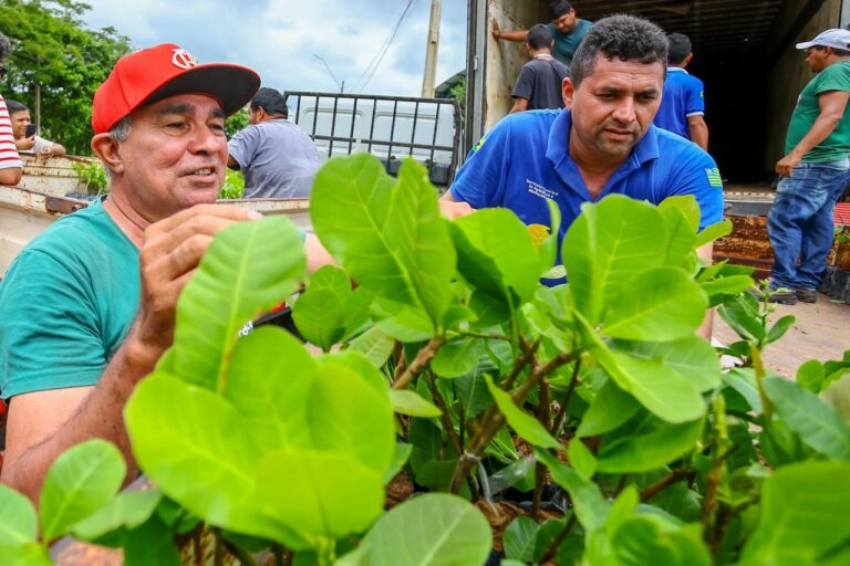 WhatsApp-Image-2026-03-02-at-11.18.35