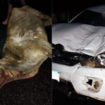 20260412_190249-1024x768