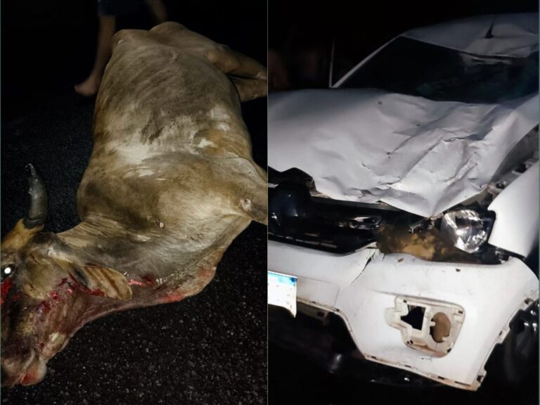 20260412_190249-1024x768