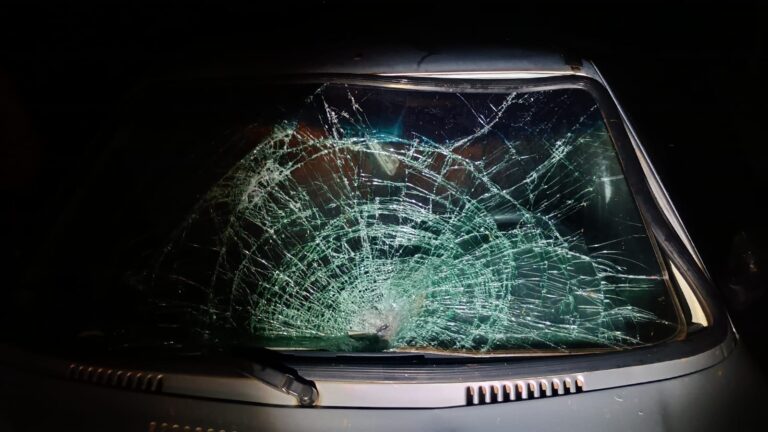 IMG-20260409-WA0044-768x432