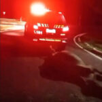 Screenshot_20260404-134028_1