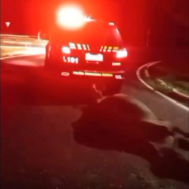 Screenshot_20260404-134028_1